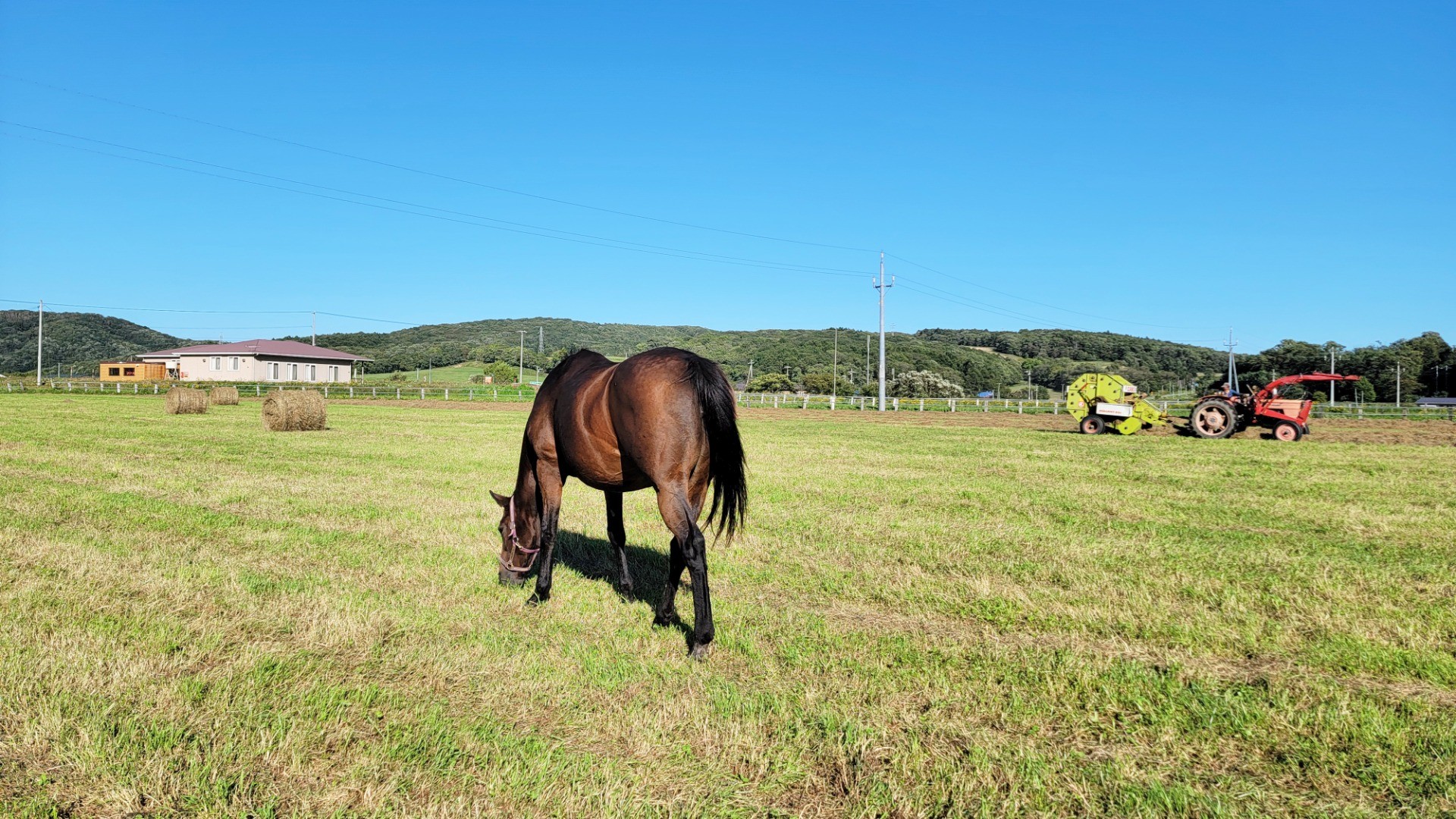 d7474e904b50aa6f0a6eebf7ec41ed5e-1760934194.jpg d7474e904b50aa6f0a6eebf7ec41ed5e-1760934194.jpg